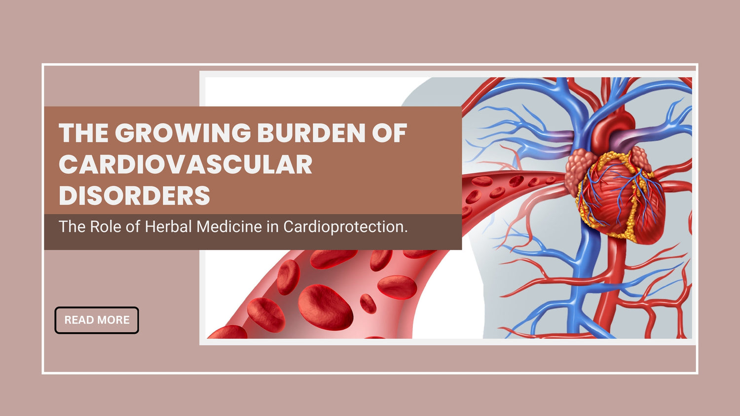 The Growing Burden of Cardiovascular Disorders