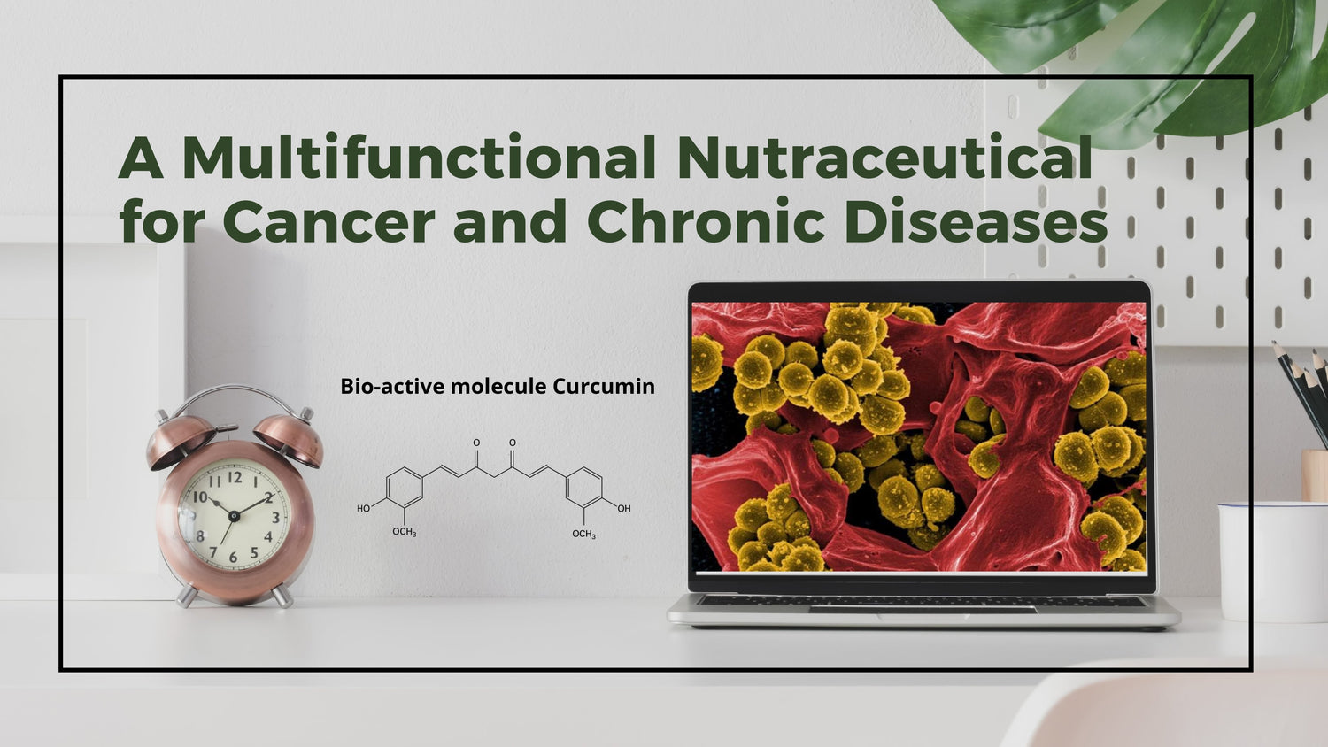 A MULTIFUNCTIONAL NUTRACEUTICAL FOR CYTOPROTECTION, ANTI-INFLAMMATORY, AND ANTIOXIDANT SUPPORT IN CANCER AND CHRONIC DISEASES