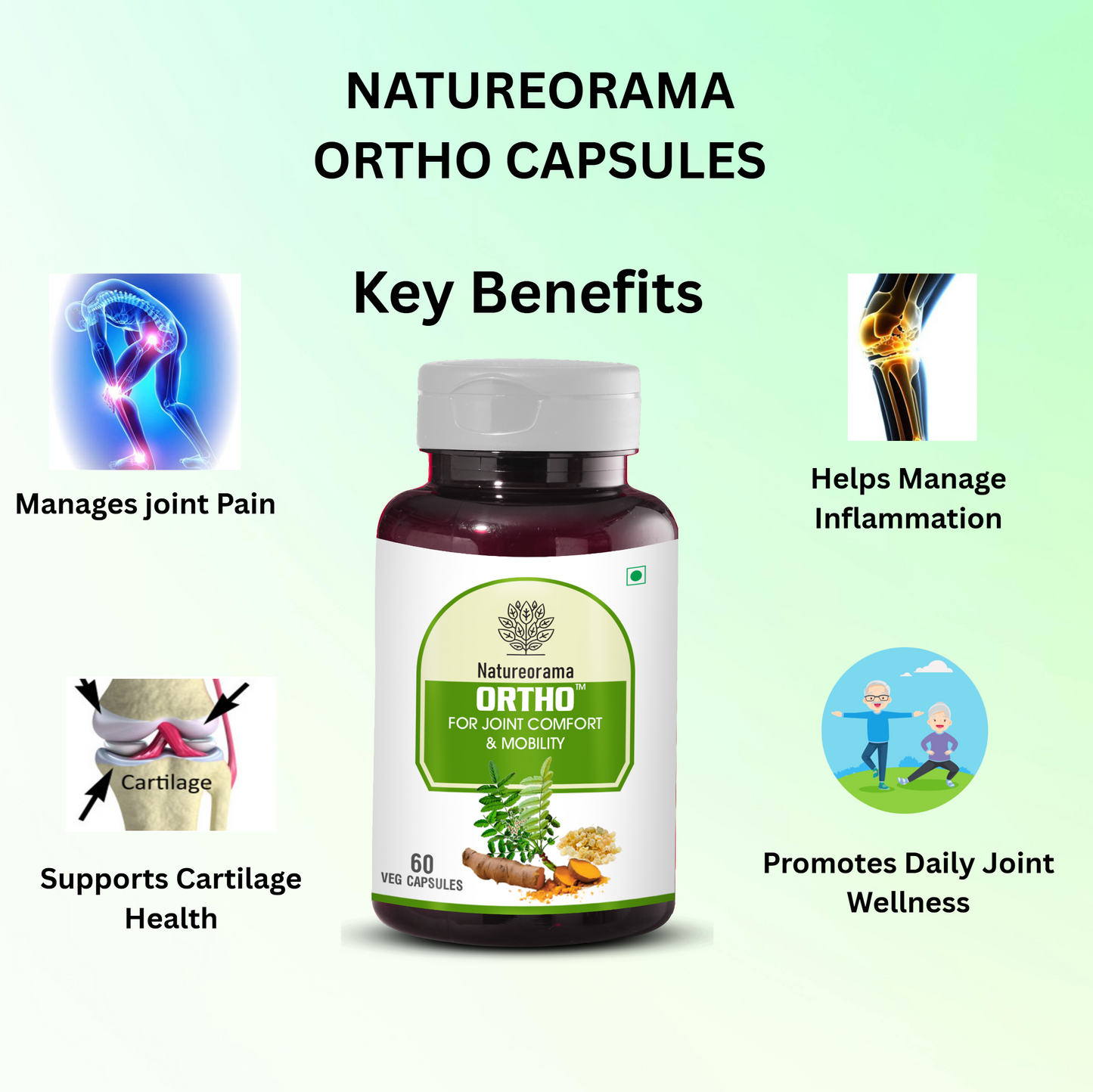 Ortho Capsules – For Joint Comfort and Mobility!