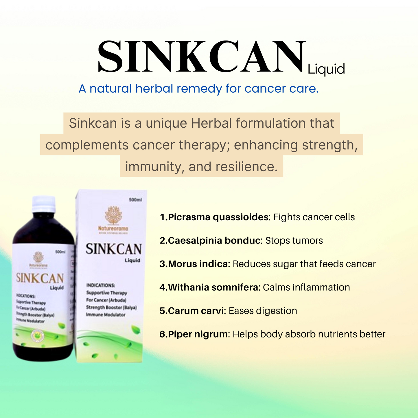 Sinkcan Liquid – Comprehensive Ayurvedic OncoCare Support