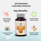 Curcumin Capsules – Anti-Oxidant, Anti-Inflammatory for Better Immunity!